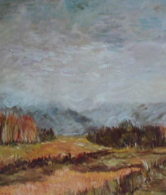 pianura-nei-pressi-del-fiume