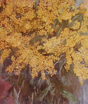 mimosa