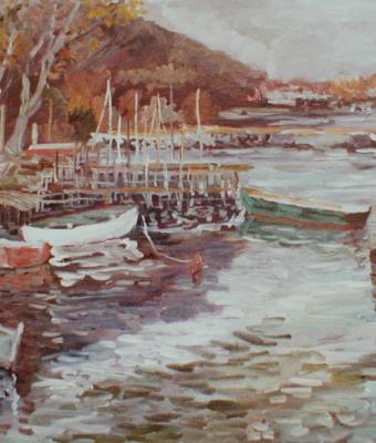 barche-all-ormeggio-sul-fiume