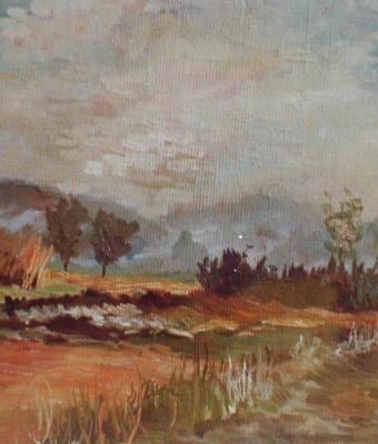 pianura-nei-pressi-del-fiume