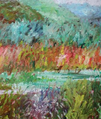 vegetazione-fluviale