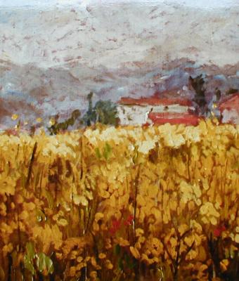 fiori-gialli-di-prato