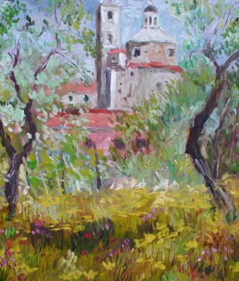 fiori-di-campo-a-s-stefano-ma