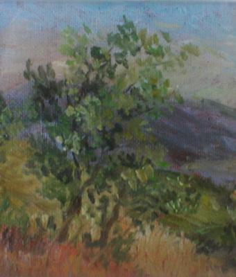 paesaggio-montano-bozzetto