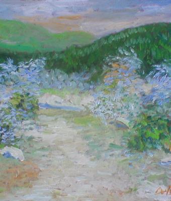 verso-il-lago-ballano