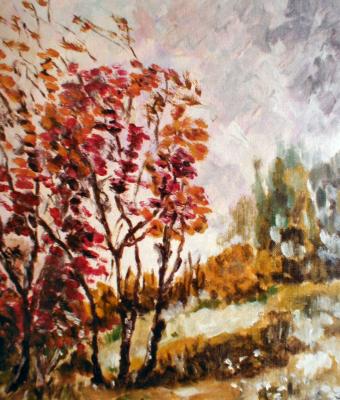 campagna-in-fiore