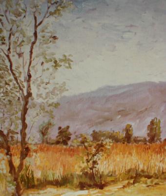 campo-di-grano-presso-fosdinov