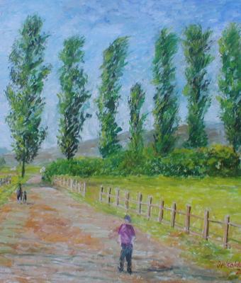 alberi