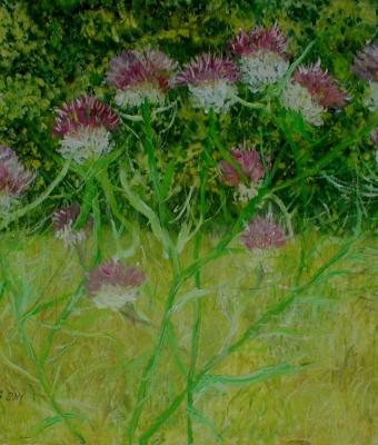 fiori
