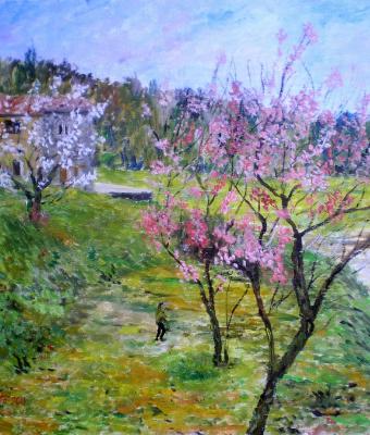 paesaggio