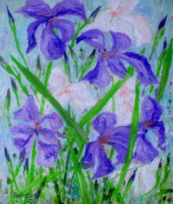 quotiris-viola-e-bianchiquo