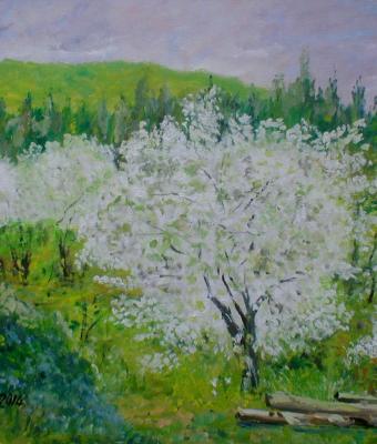 piante-da-frutta-in-fiore