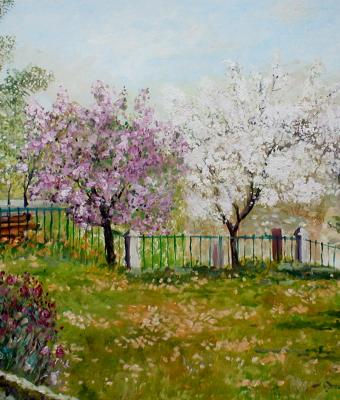 primavera