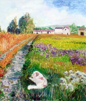 paesaggio