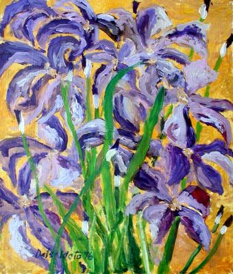 iris