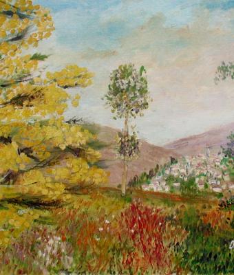 paesaggio-con-mimosa