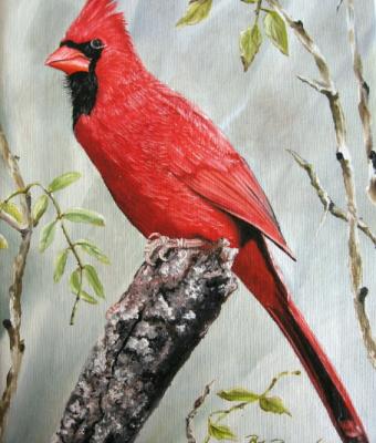 cardinale