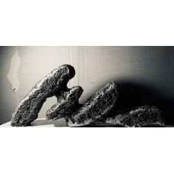 sculture-nate-da-una-linea