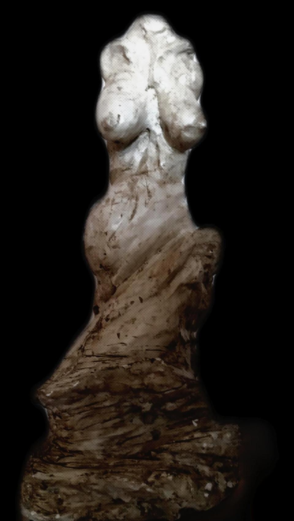metamorfosi