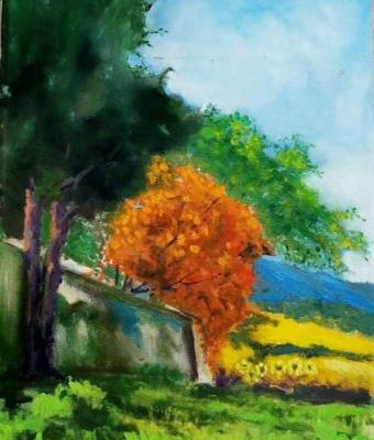 i-colori-dell-autunno