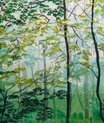 fiori-nel-bosco