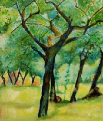 alberi