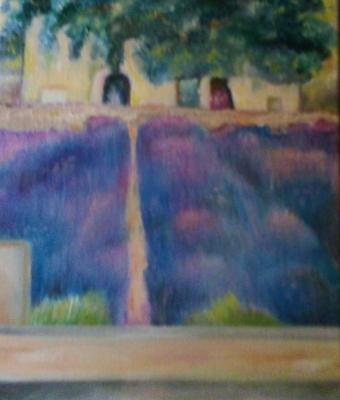 campo-di-lavanda