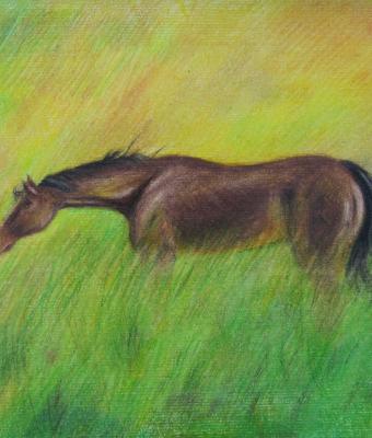 warren-s-english-thoroughbred