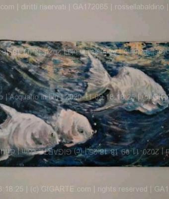 acquario-in-blu