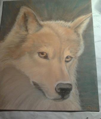 wolf