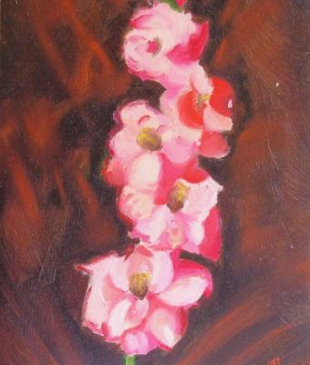 fiori