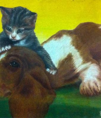 cane-con-gattino