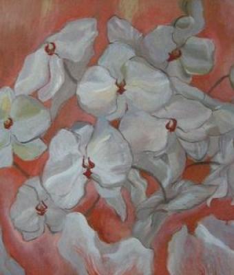 butterfowers