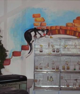 gatto-silvestro-e-i-canarini