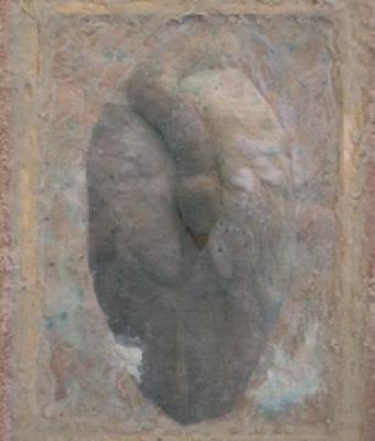 cigno-che-riposa
