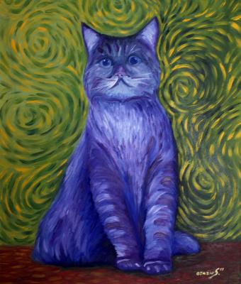 gatto-blu