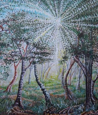 alberi-e-luce-energia-in-nat