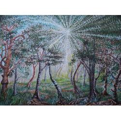 alberi-e-luce-energia-in-nat