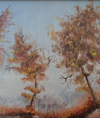 le-emozioni-degli-alberi