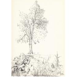 quercia