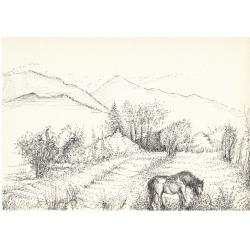 paesaggio-con-cavallo