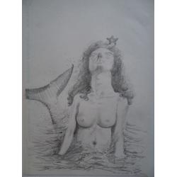 la-sirena-con-stella-marina