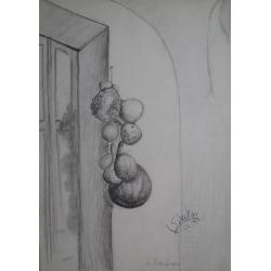 schizzo-zucche-ornamentali-in