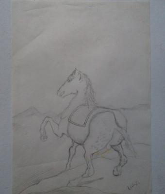 cavallo-di-spalle-horse-shou