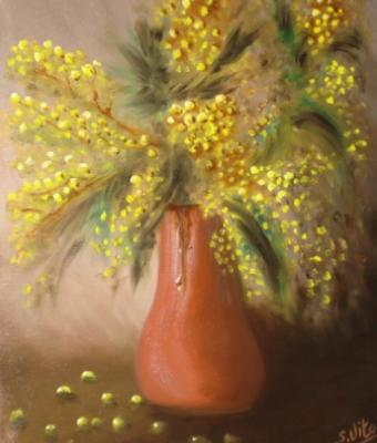 mimose