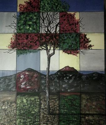 un-albero-per-tutte-le-stagion