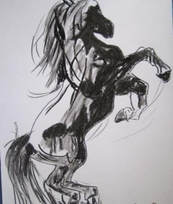 horse