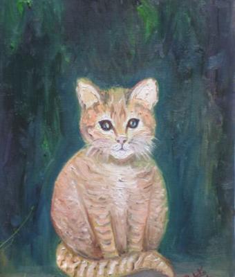 il-gatto