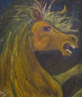 il-cavallo