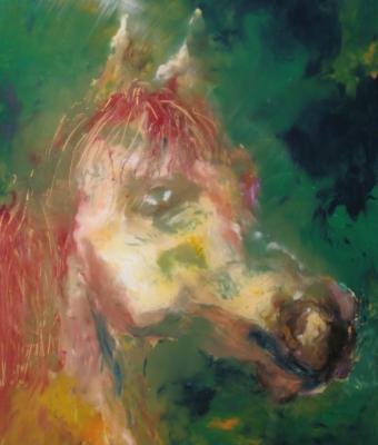 il-cavallo